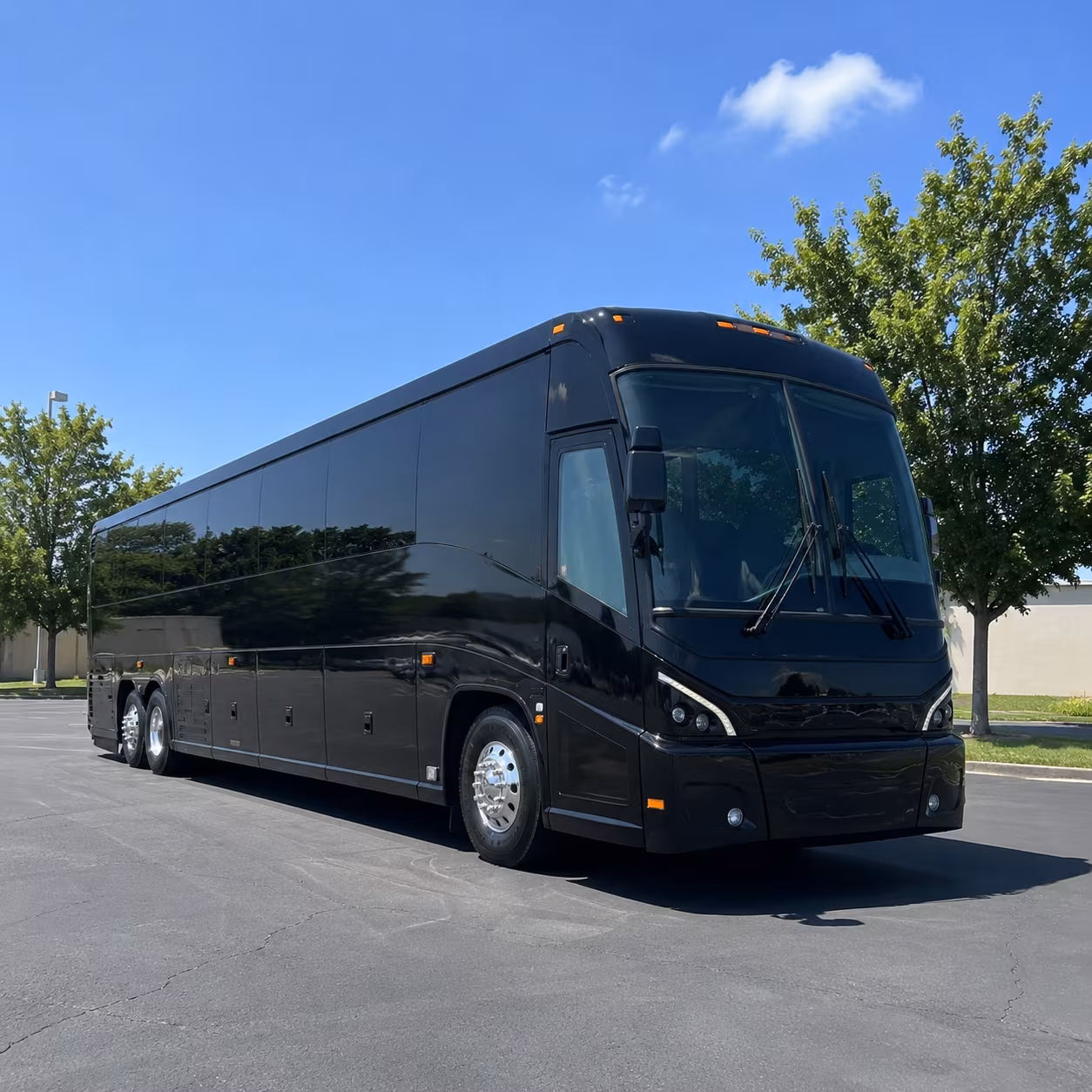 Oceanside School Event Transportation party bus exterior
