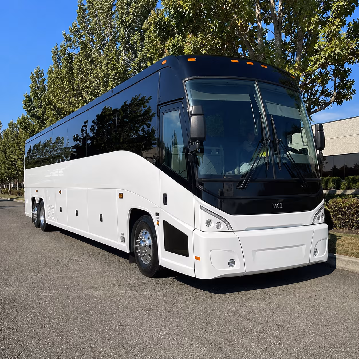 Oceanside School Event Transportation party bus exterior
