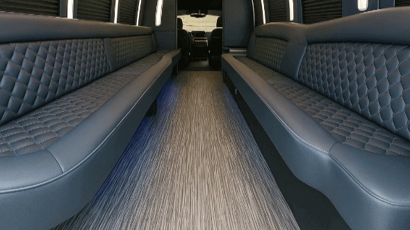 oceanside 20 passenger party bus rental